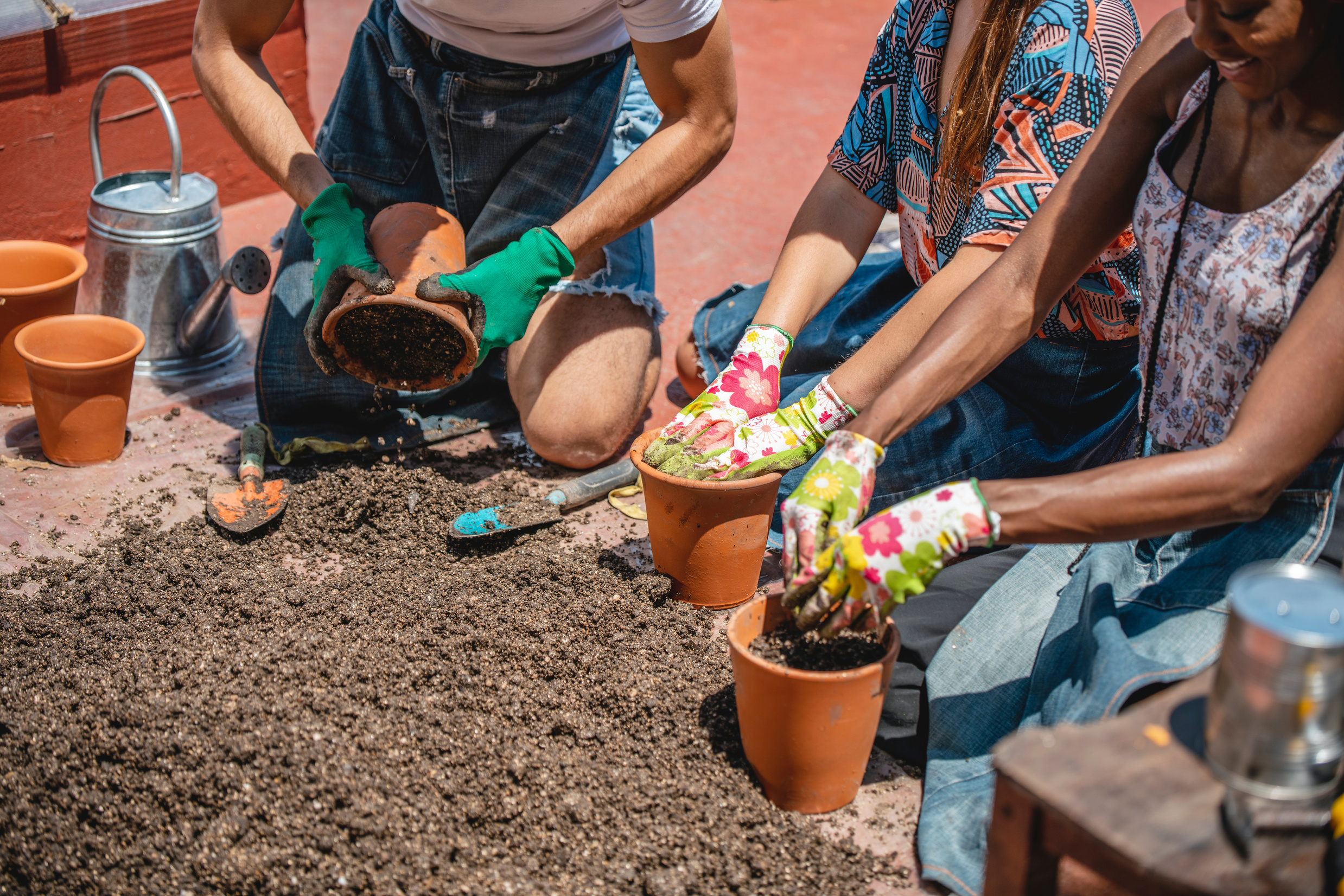 Community Members Working to Develop Local Food Production